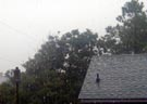 Hurricane Charley Photograph 9